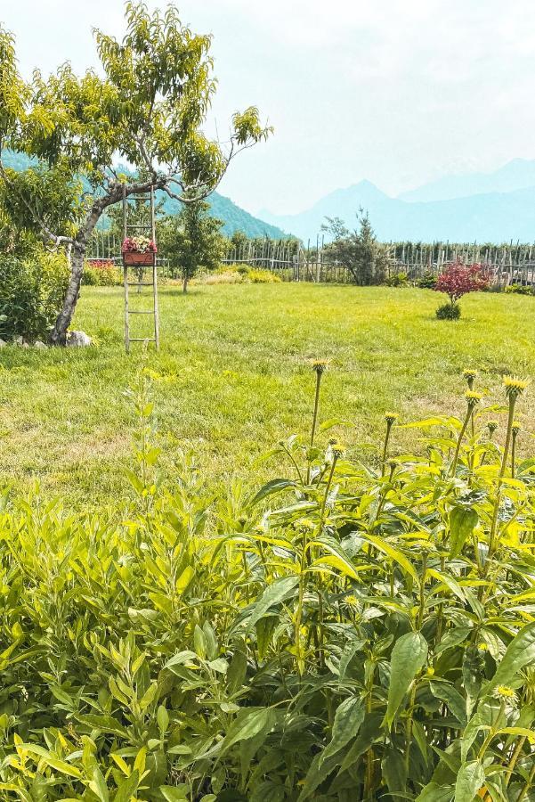 Agriturismo Dal Perotin Caldonazzo Esterno foto